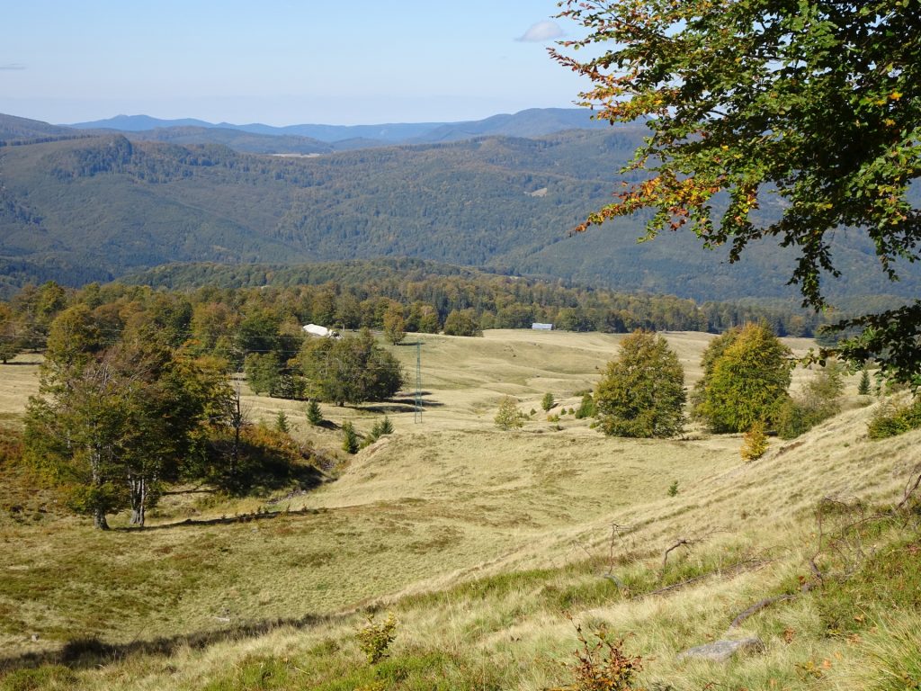 View down towards the mountain pasture