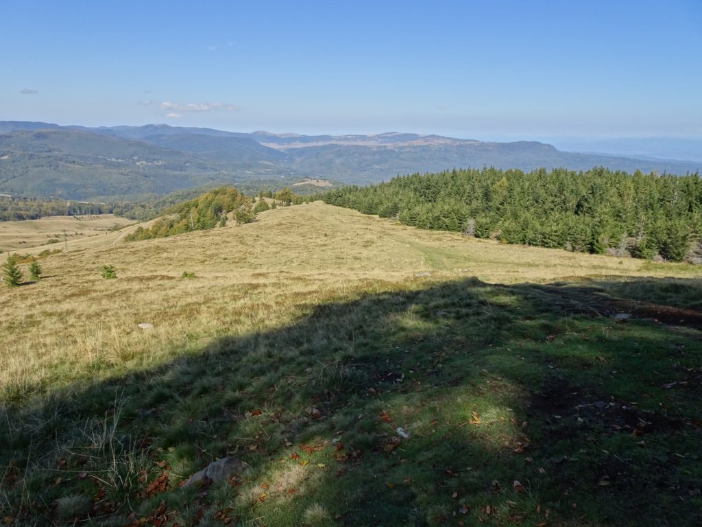 View downwards the mountain pasture