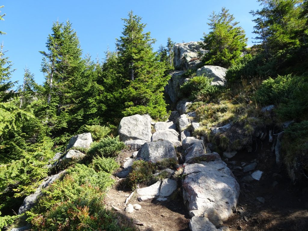 Steep ascent towards Creasta Cocosului