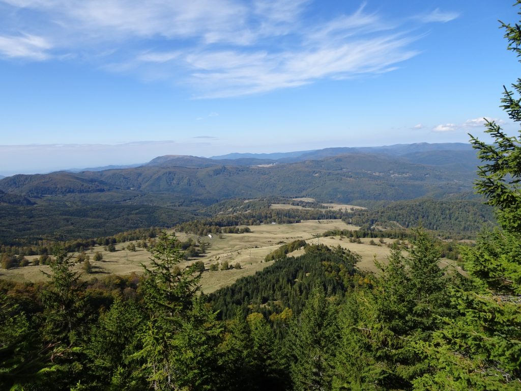 View downwards from the trail