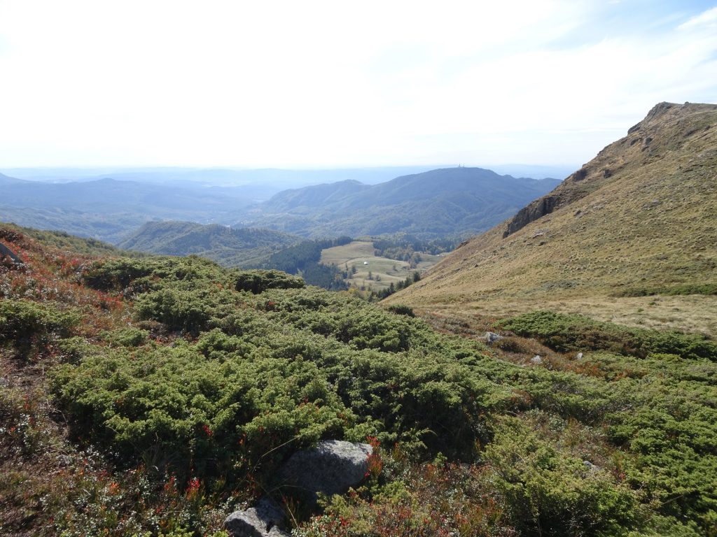 View from trail towards Gutâiul Mare