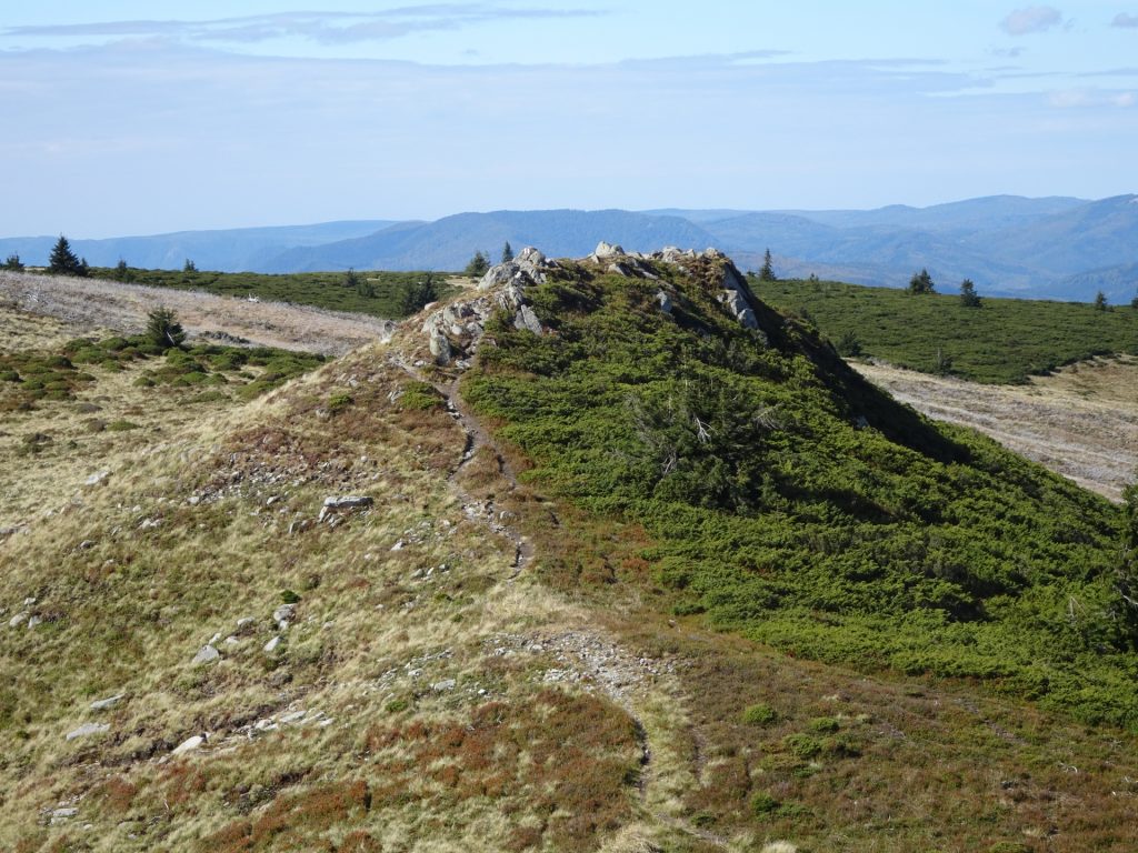 Trail towards Gutâiul Mare