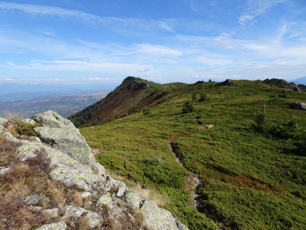 Trail towards Gutâiul Mare