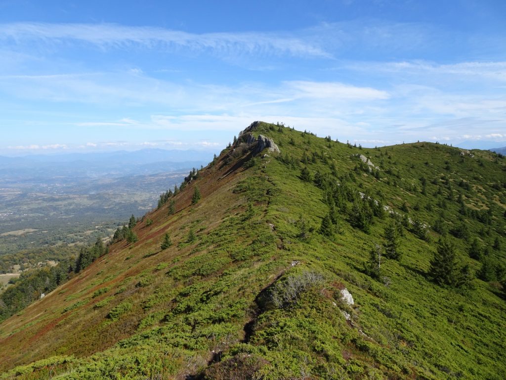 Trail on the ridge towards Gutâiul Mare