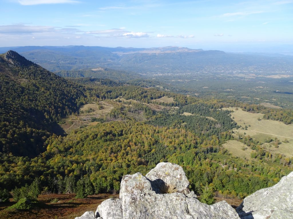 View from trail