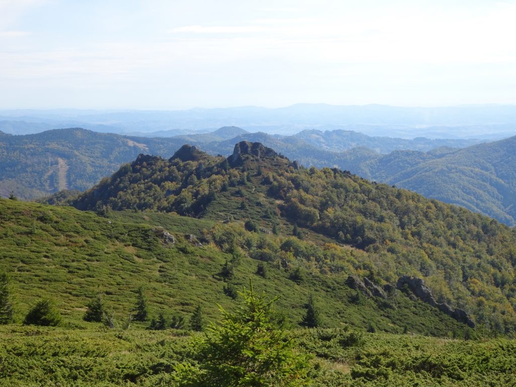 View from trail