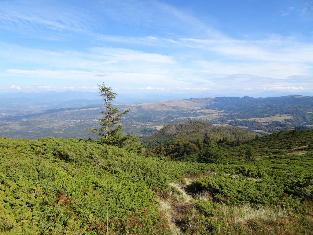 Trail towards Gutâiul Mic