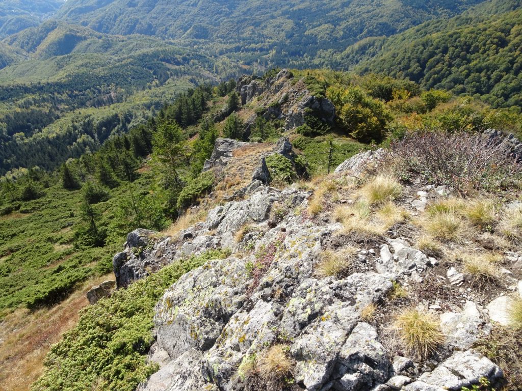 View downwards from trail