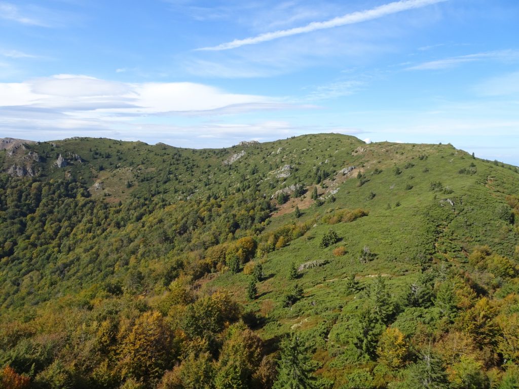 View backwards to the overgrown trail