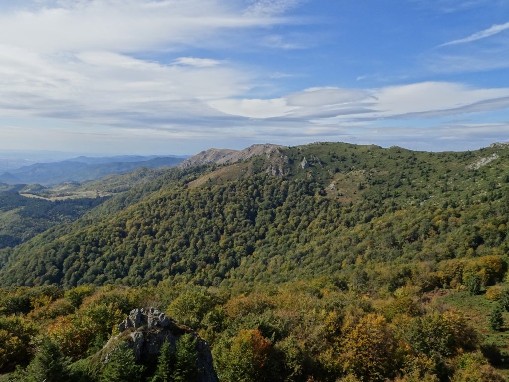 View backwards from the trail