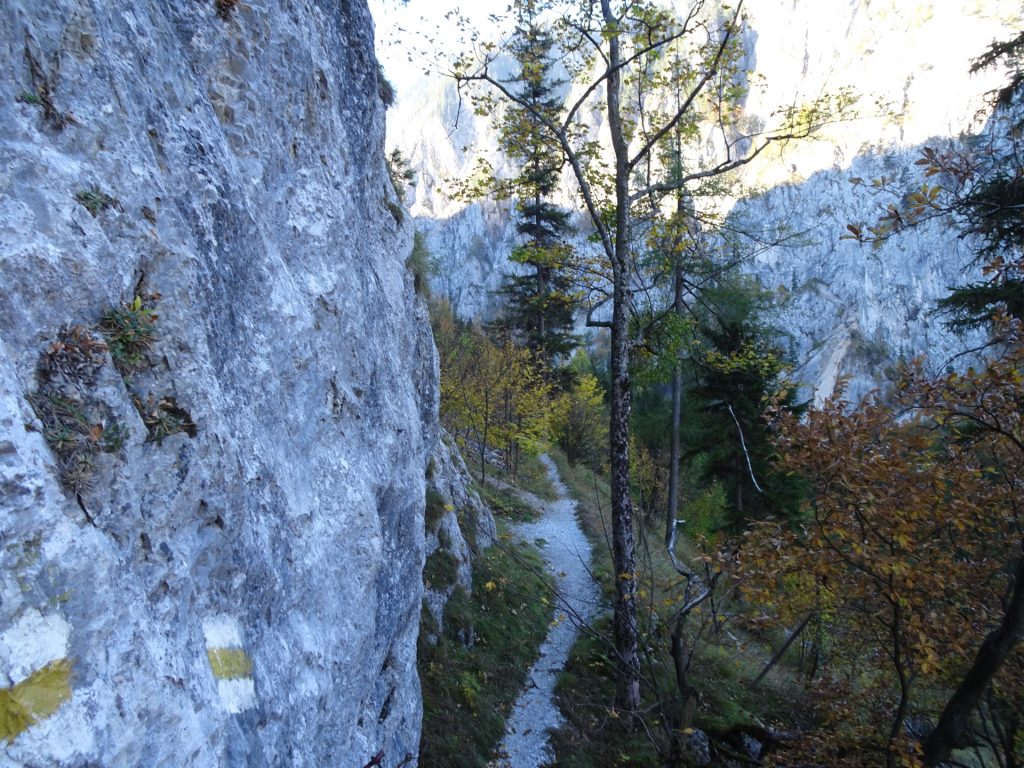 Trail through the Höllental (after the Schönbrunnerstiege)