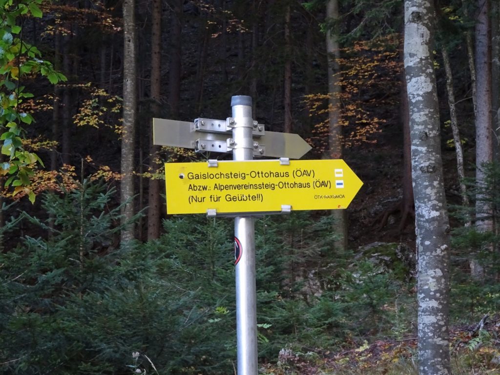 Towards Gaislochsteig