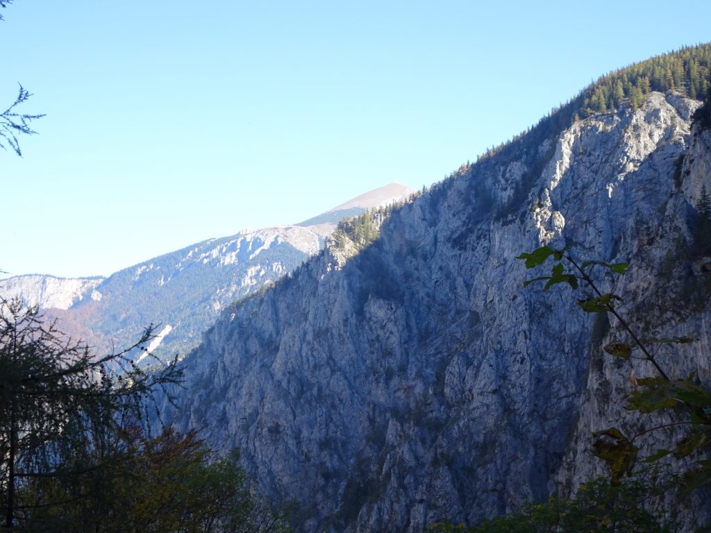 View towards Schneeberg