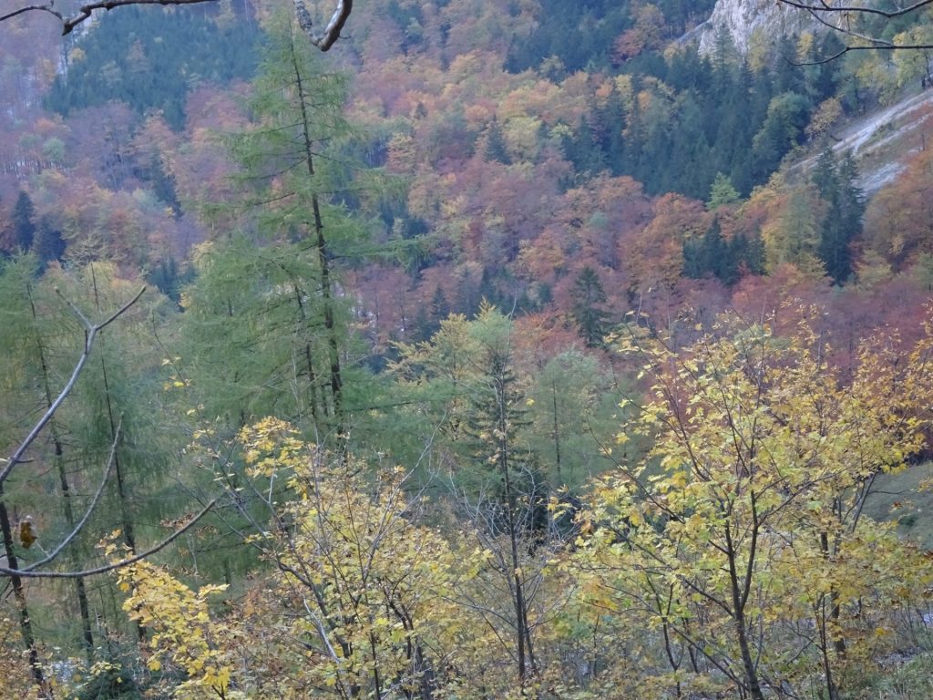 Autumn in Höllental