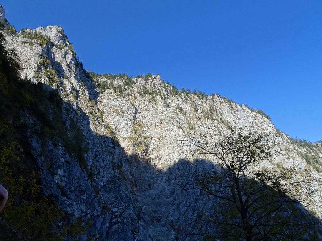 View from Gaislochsteig