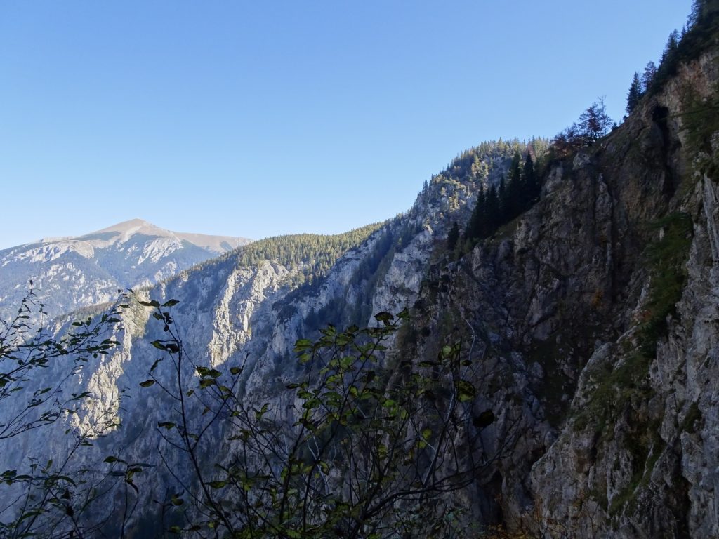 Schneeberg from the Gaisloch