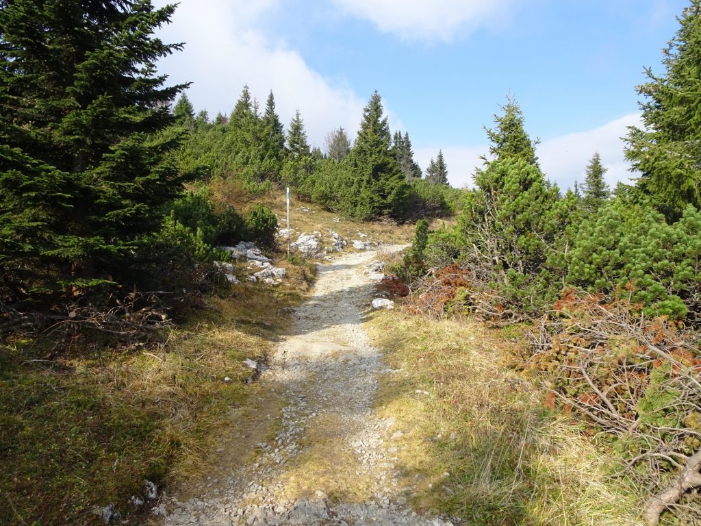 Trail towards Höllentalaussicht