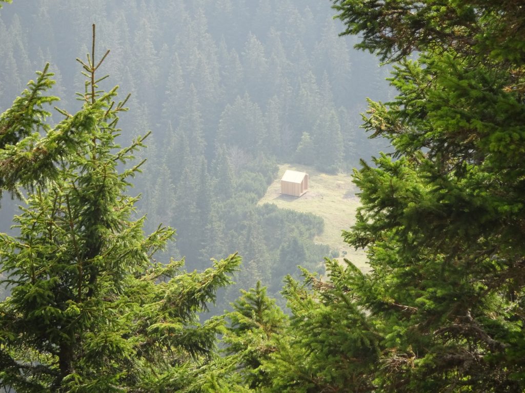 View back to the Wolfgang-Dirnbacher-Hütte