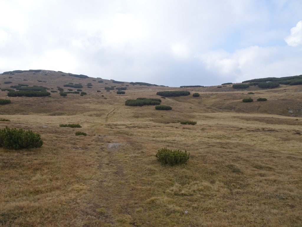 View from the plateau