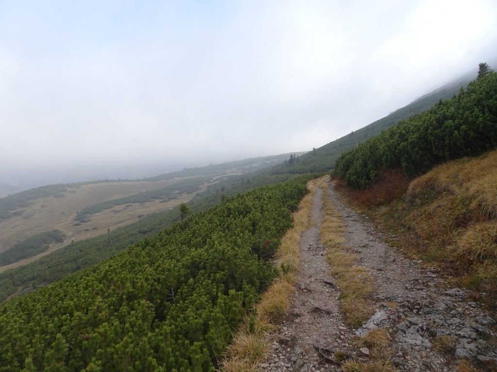 Pehofer-Almweg (detour due to bad weather at Predigtstuhl)