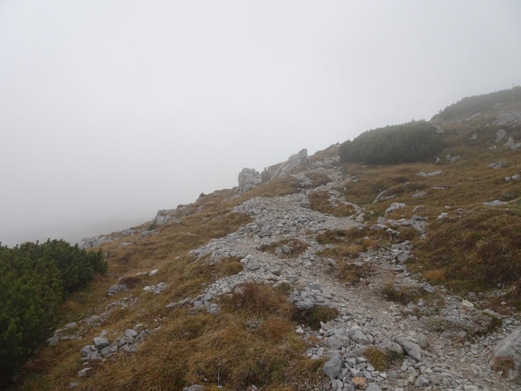 Trail towards Neue Seehütte