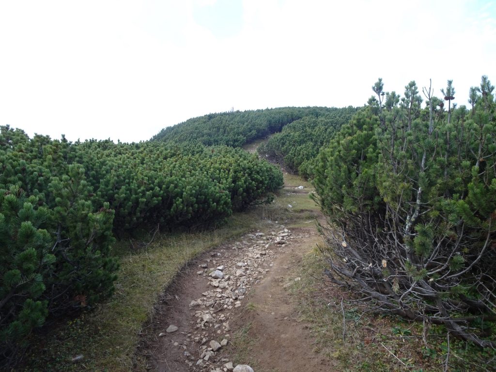 Trail towards Ottohaus