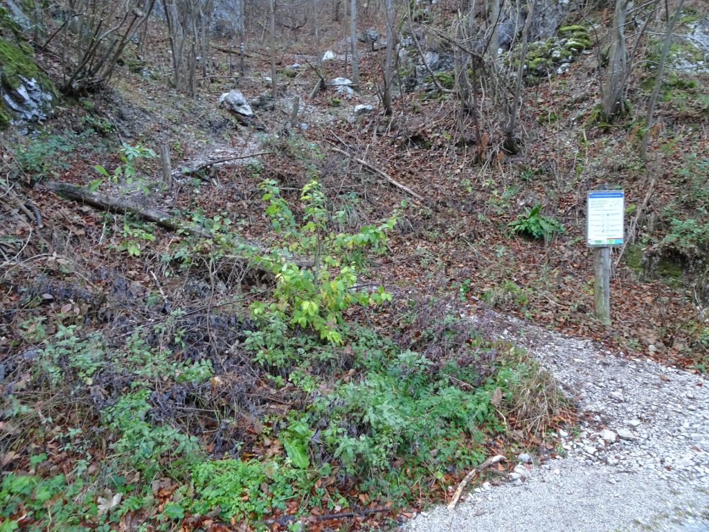 Start of the trail (opposite the parking)