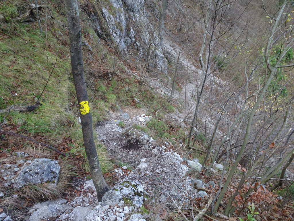 Trail towards Schönbrunnerstiege (marked yellow)
