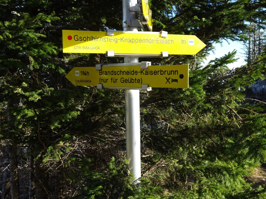 Turn left here and follow the white-yellow-white marked trail (Brandschneide aka Camillo-Steig)