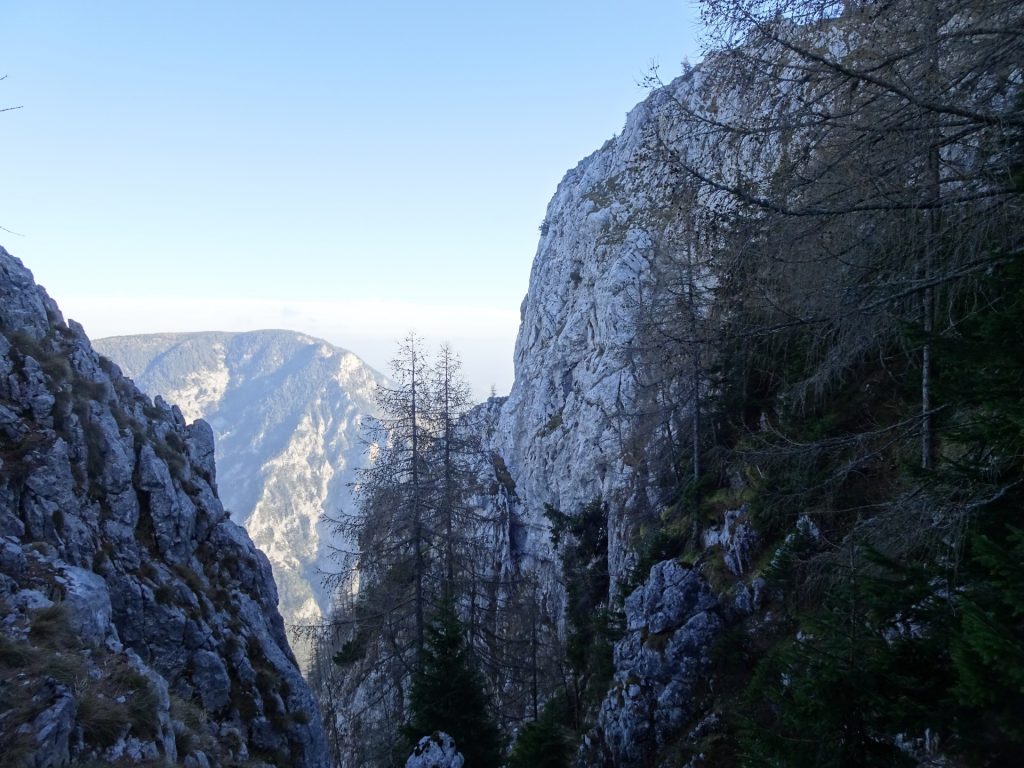 View from Camillo-Steig