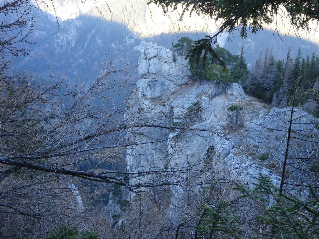 View from the trail