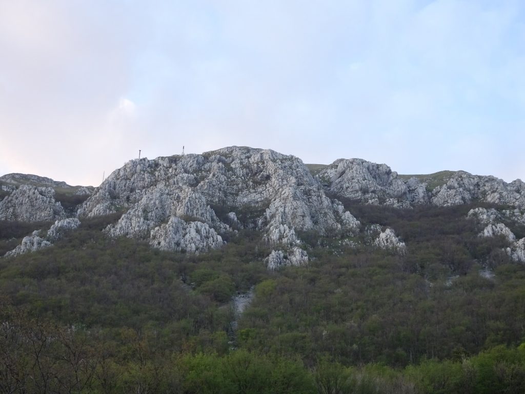 View back from the trail