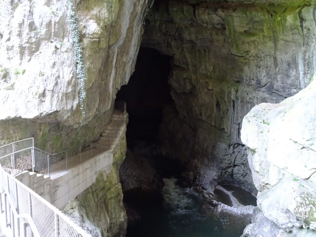 View into the cave