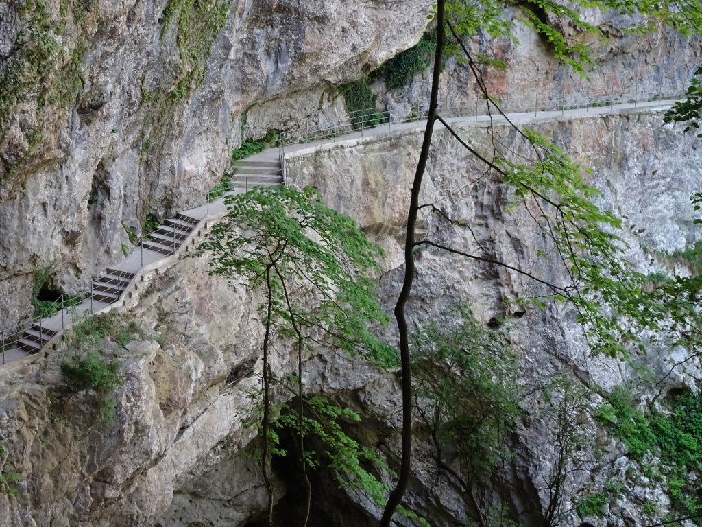 Skocjan caves trails