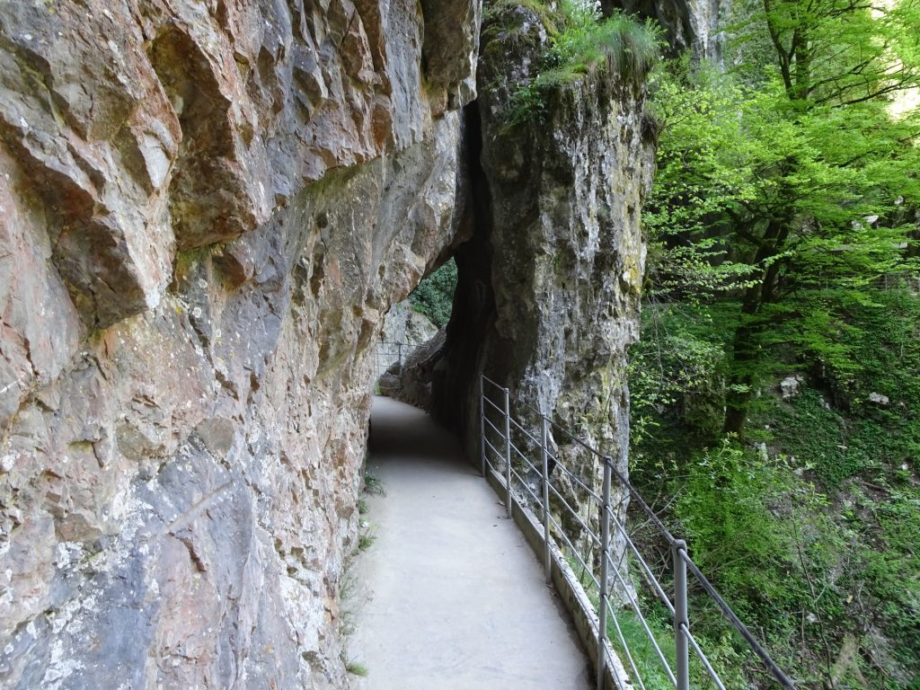Skocjan caves trails