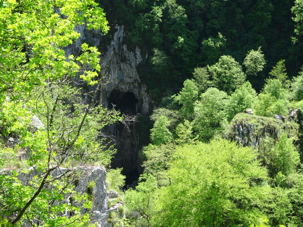 Skocjan caves trail