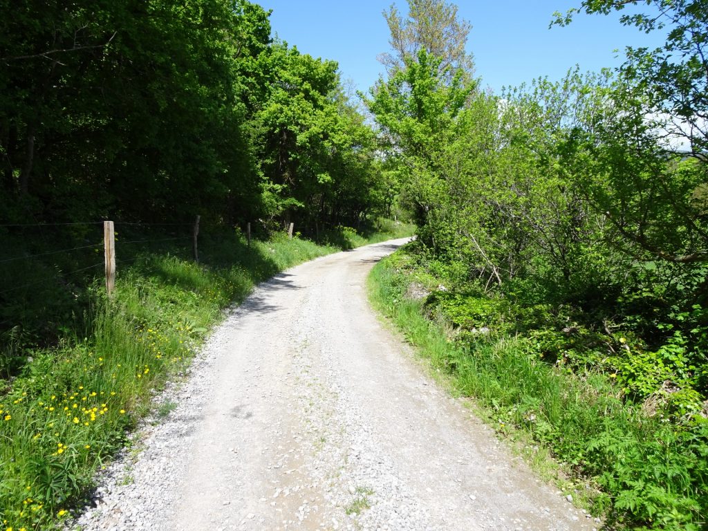 Trail from Betanja towards the gorge