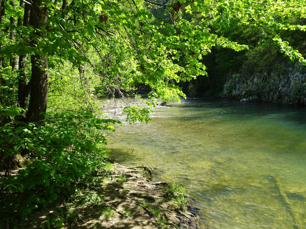 Reka river