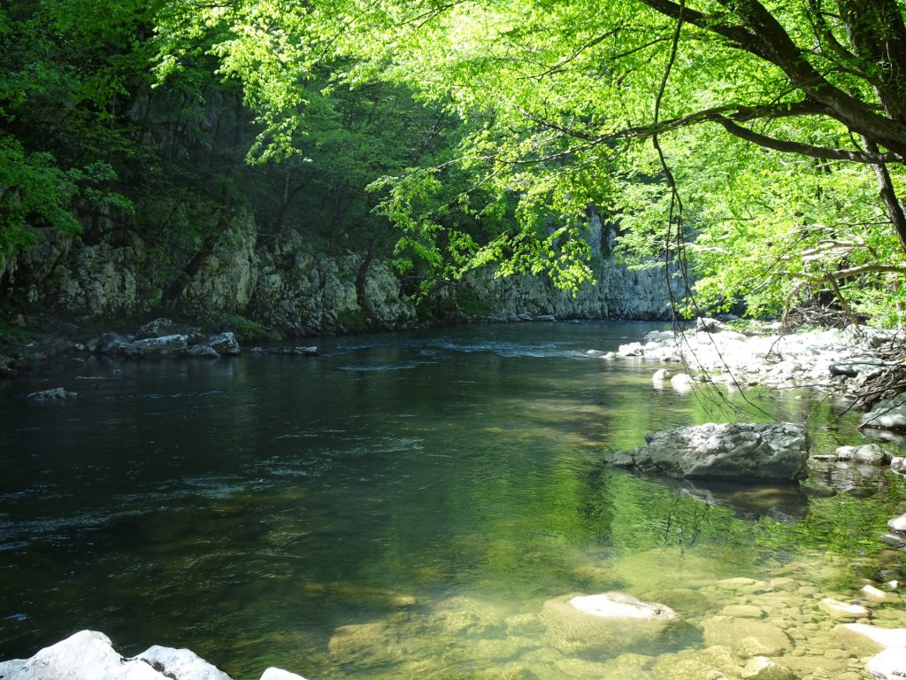 Reka river