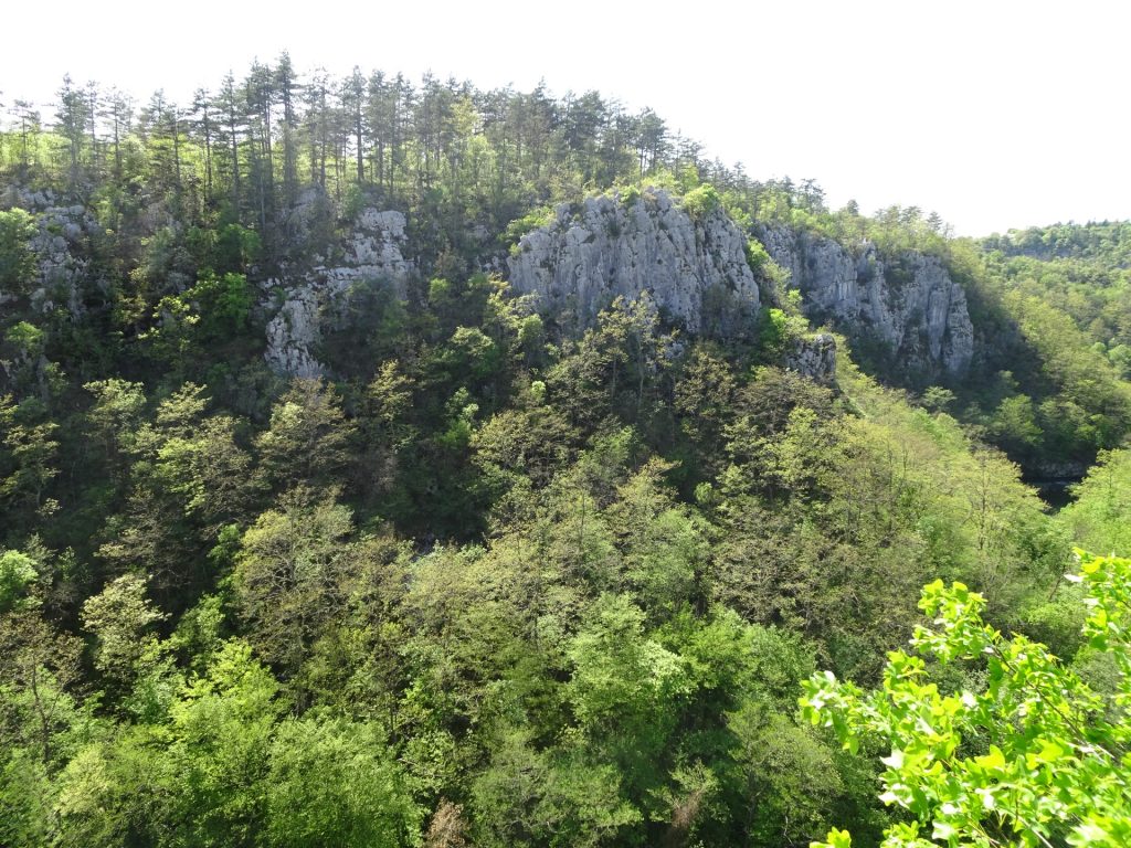 View from the gorge