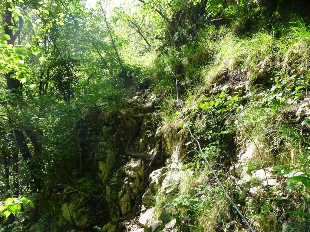 Protection lines at the trail