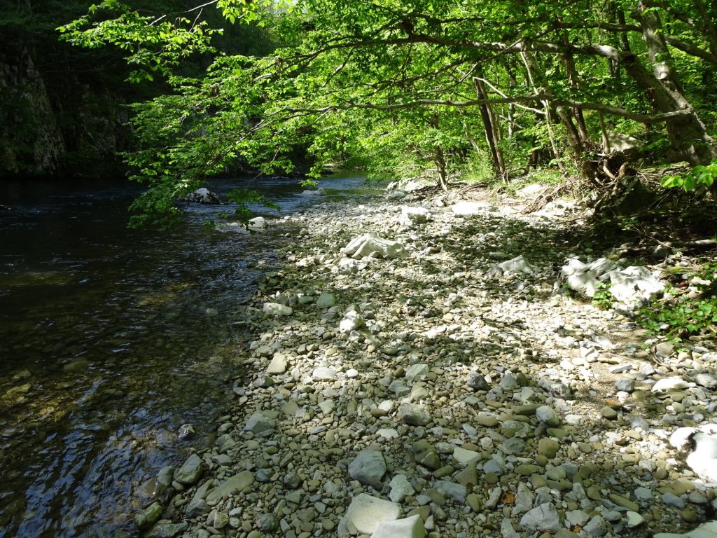 Reka river