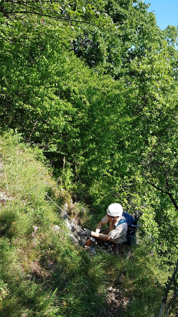 Herbert at the exit of Währingersteig