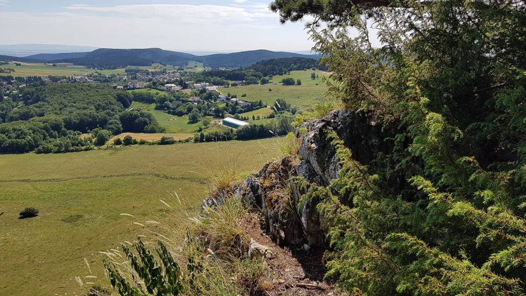 View from the top of Währingersteig