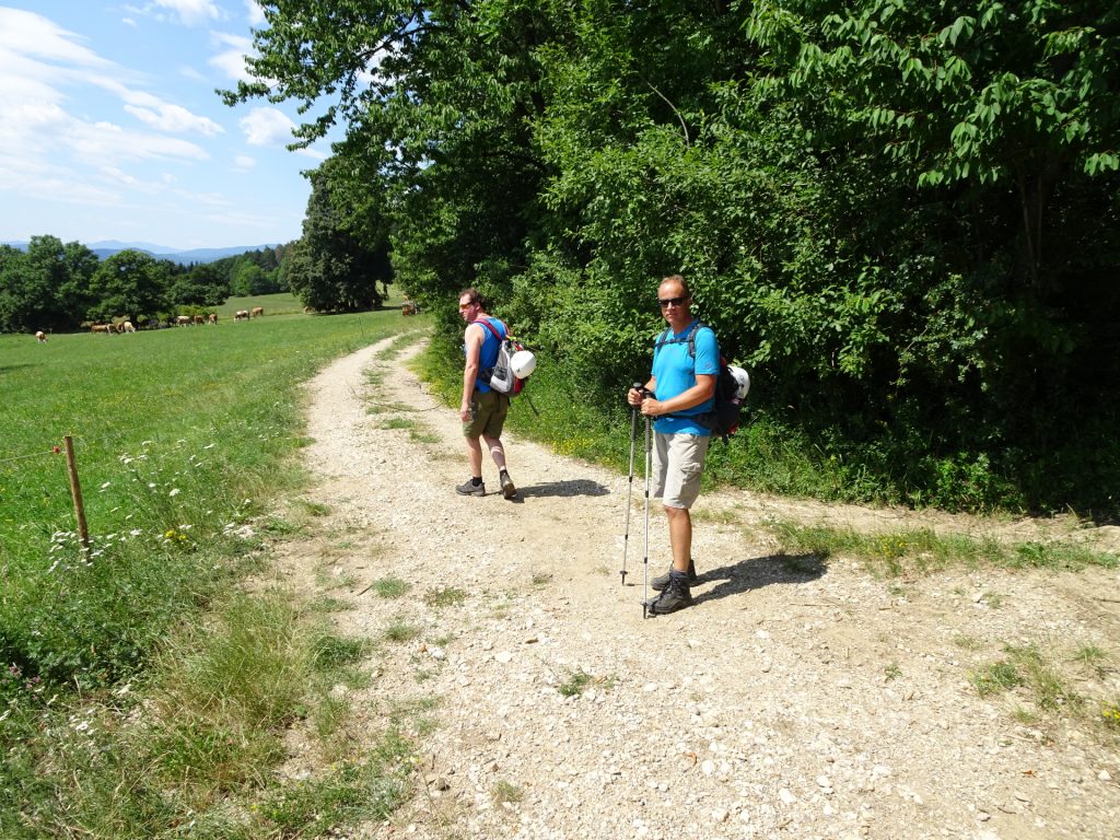 Hannes and Werner on the trail towards Hanslsteig