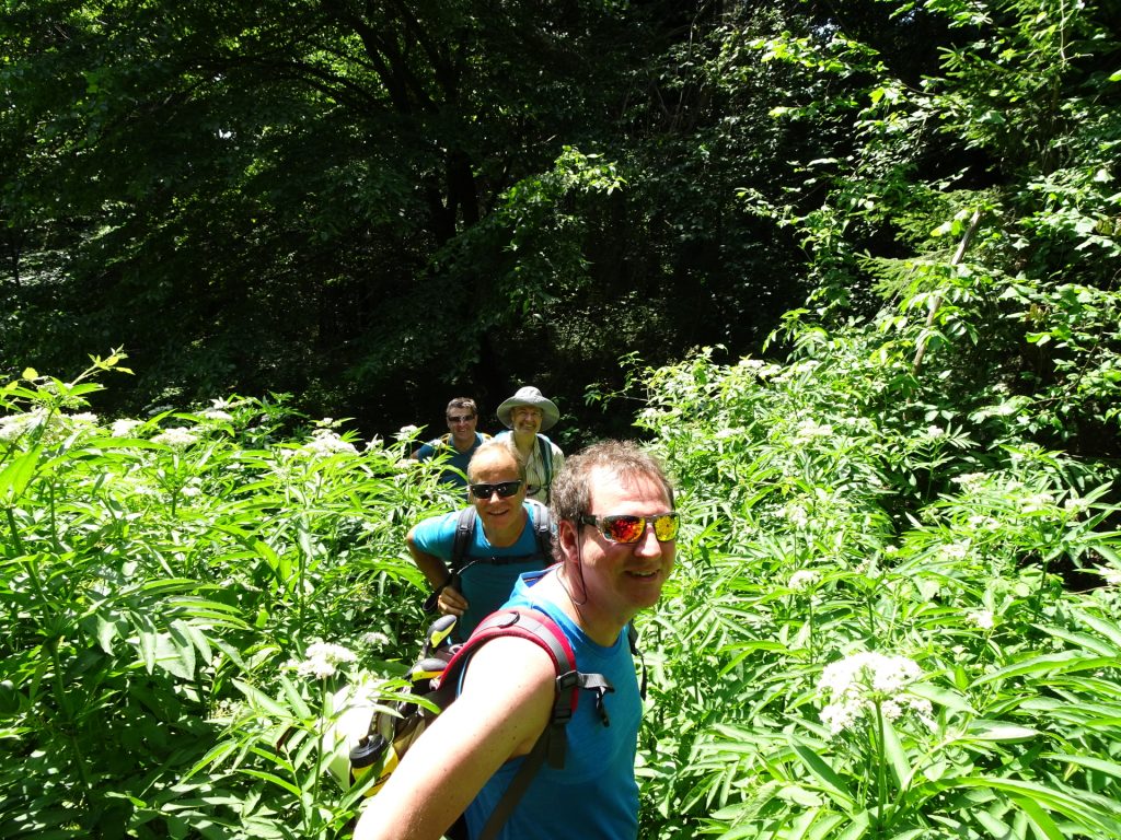 Hannes, Werner, Herbert, Robert on the Hanslsteig trail