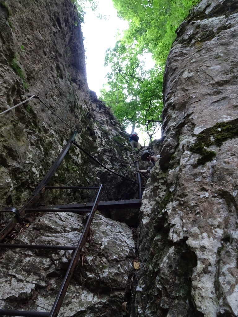 Ladder at the Drobilsteig