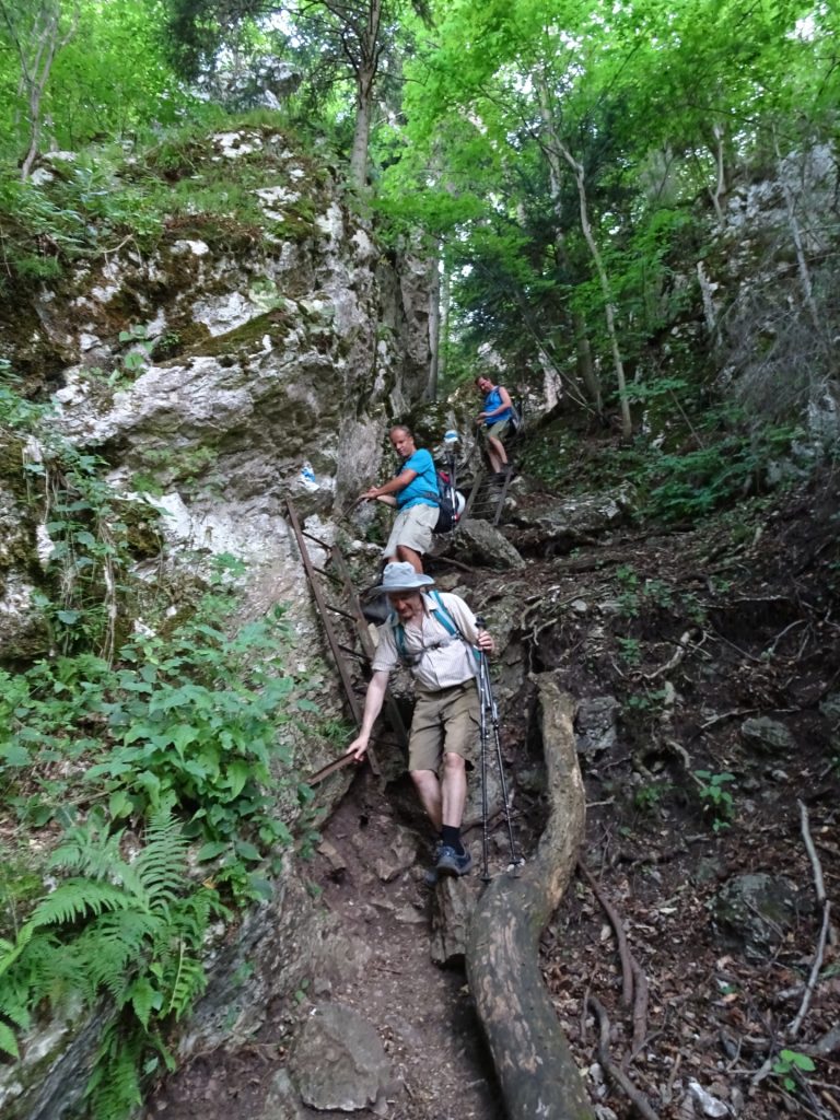 Descending via Drobilsteig