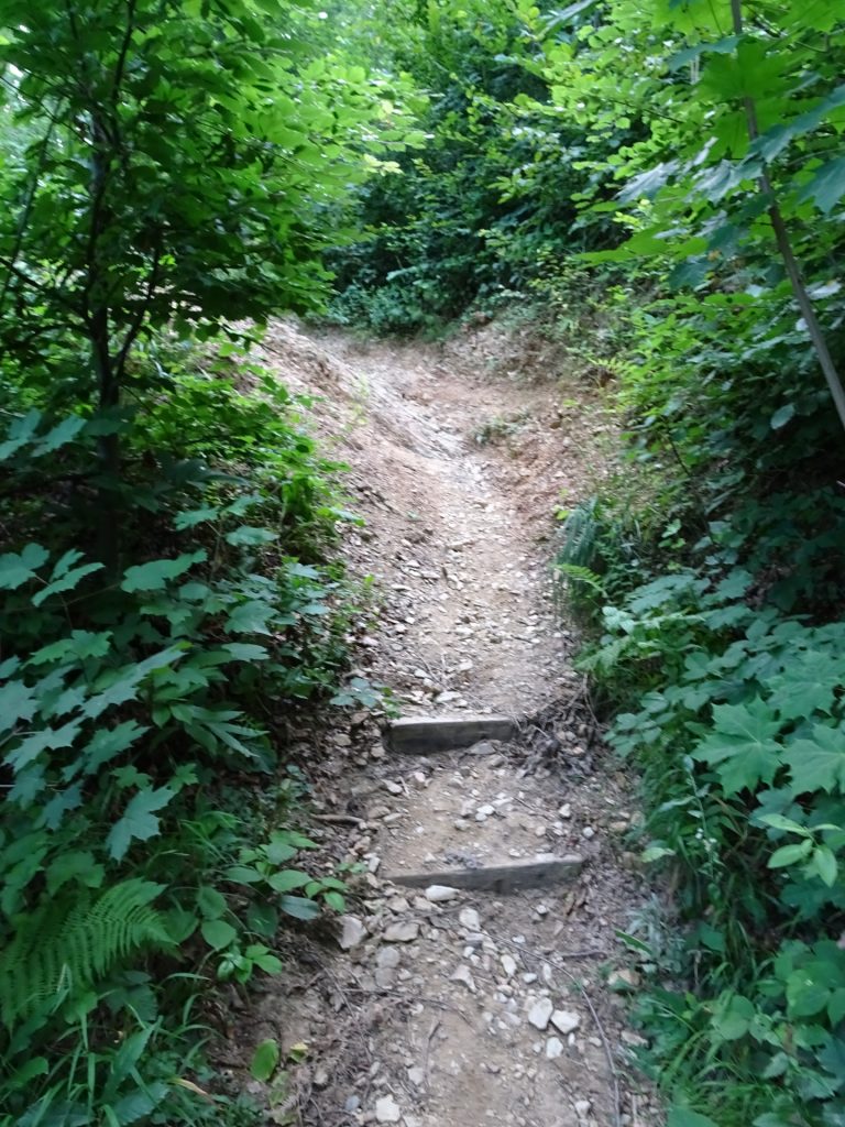 Trail towards the highest point of Tivoli