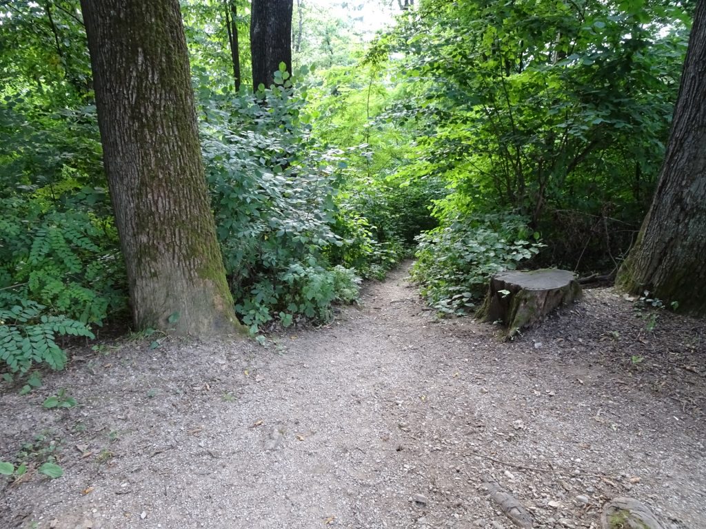 Trail towards Mostec